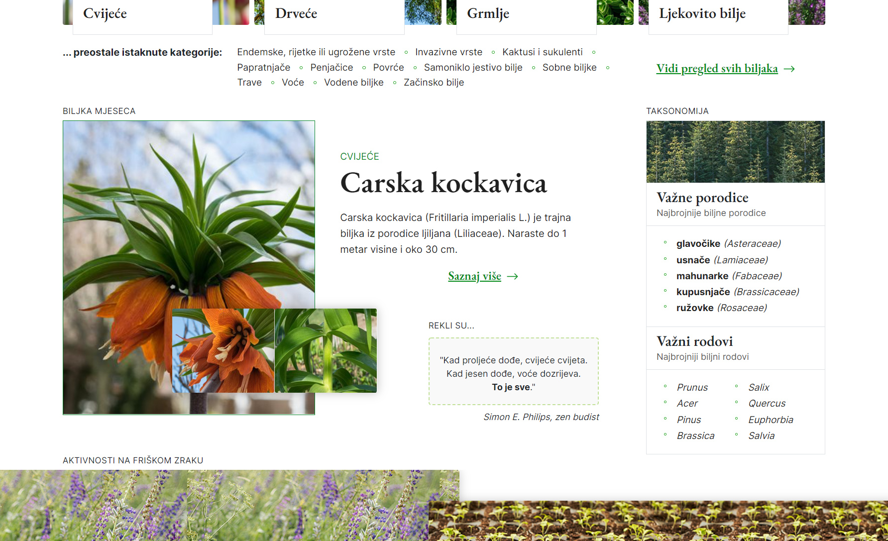 Izrada web stranice za Plantea